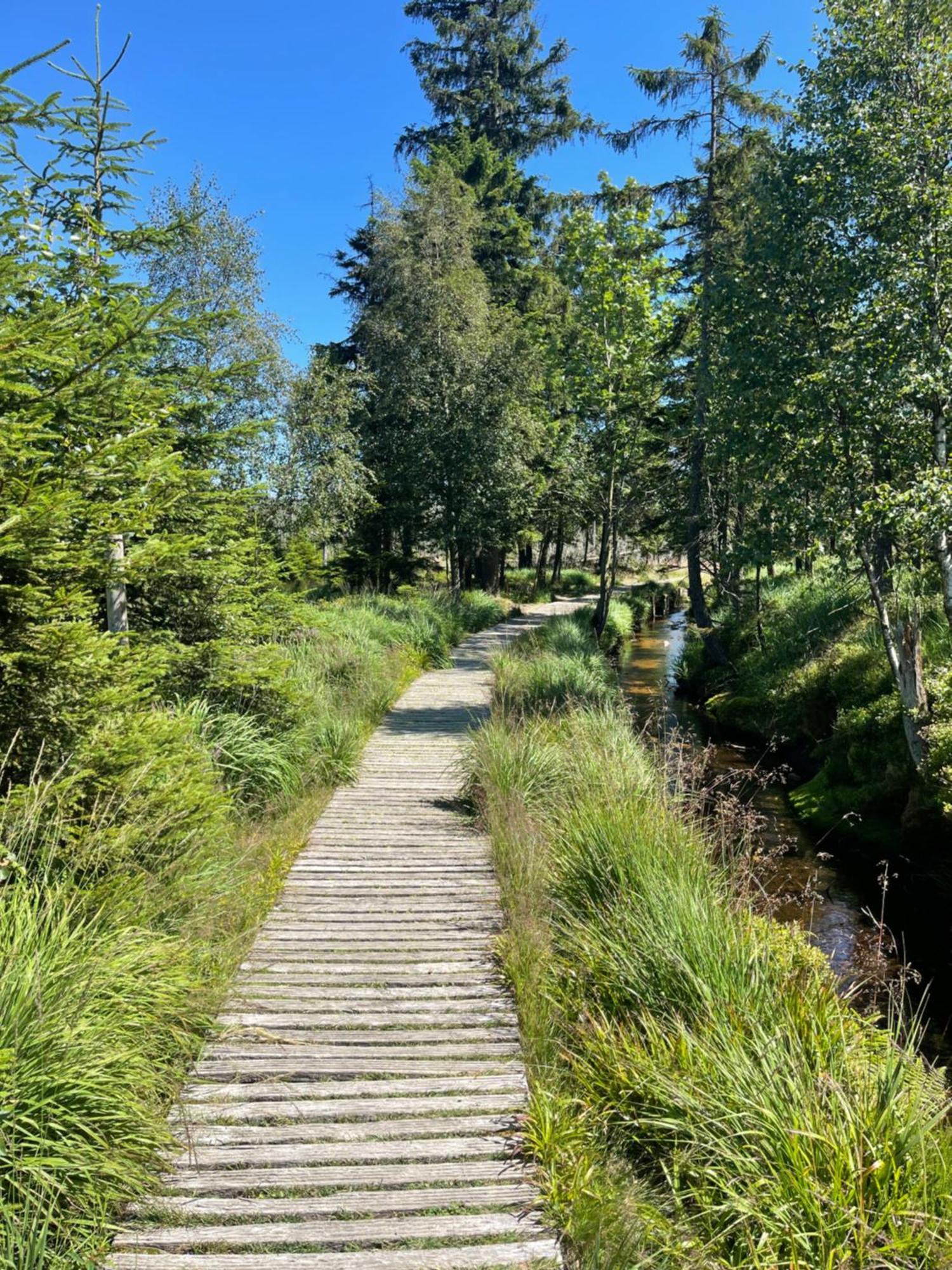 Harz Escape Lejlighed Torfhaus Eksteriør billede